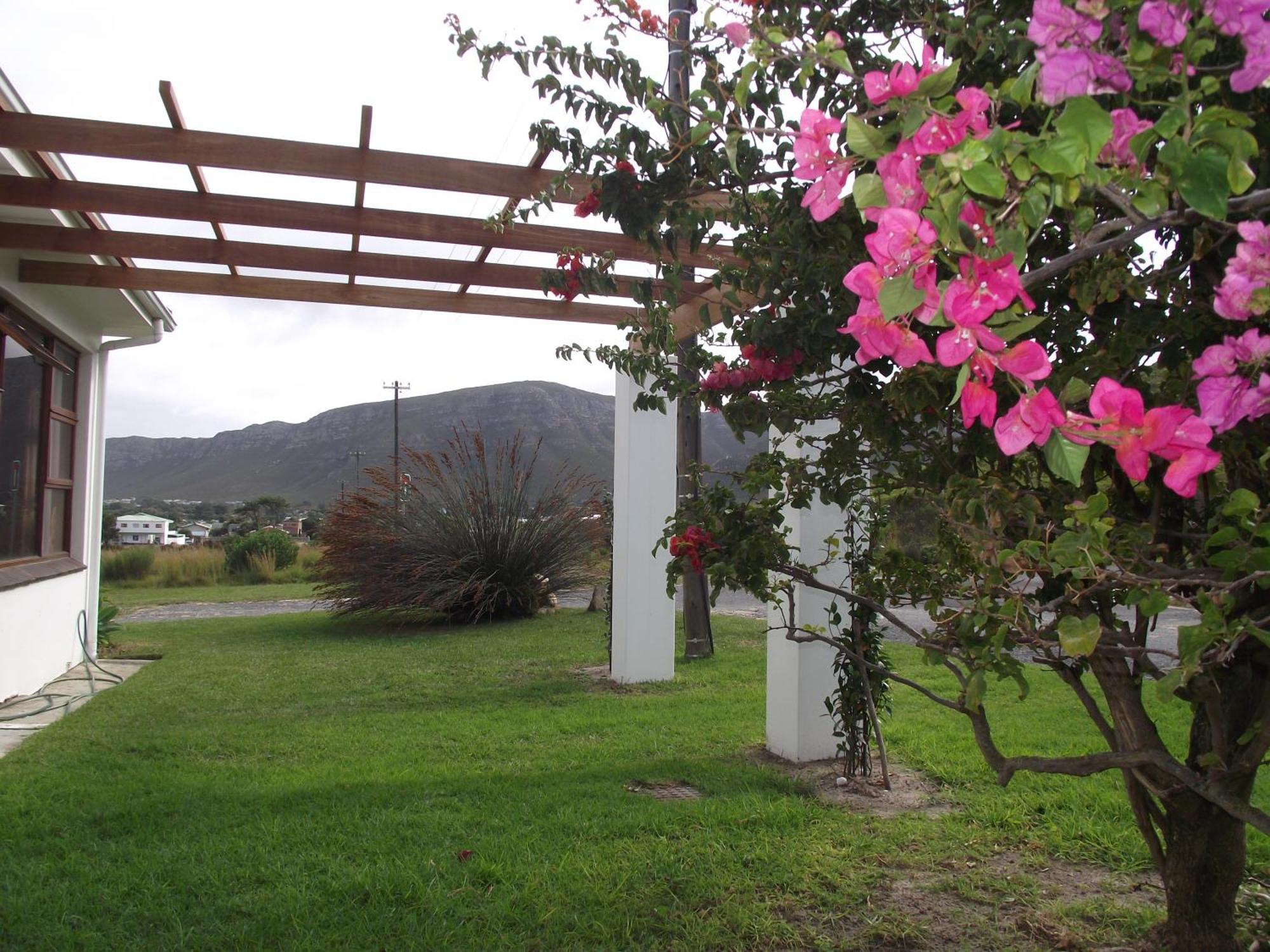 Hermanus At Rikis Self Catering Apartment Exterior foto